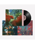 The Haze (12" Vinyl)